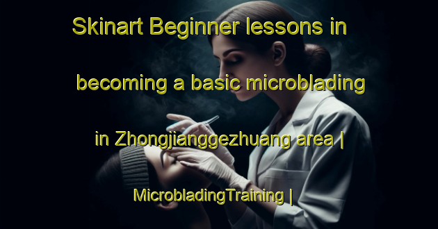 Skinart Beginner lessons in becoming a basic microblading in Zhongjianggezhuang area | MicrobladingTraining | MicrobladingClasses | SkinartTraining-China